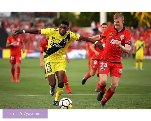 奥克兰FC签十七后卫维塞利奇